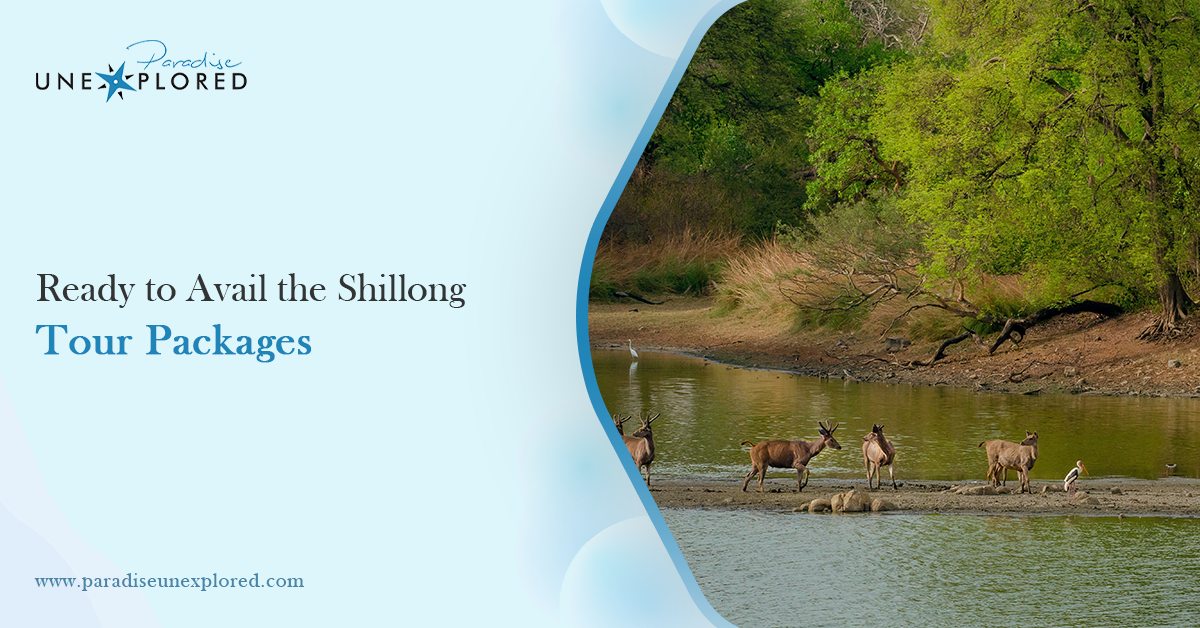 Ready to Avail the Shillong Tour Packages