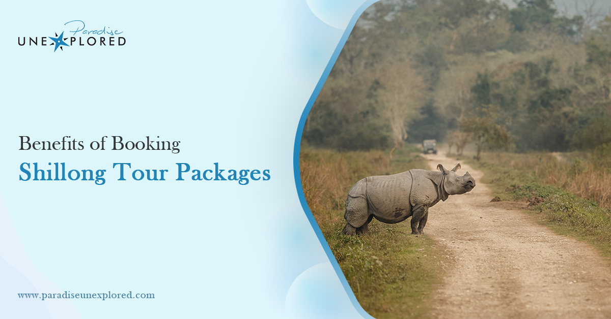 Benefits of Booking Shillong Tour Packages